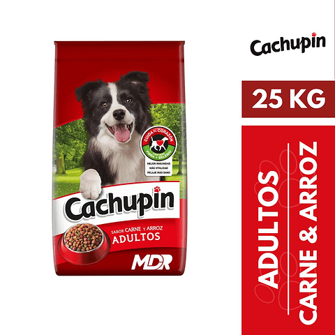 CACHUPIN ADULTO CARNE Y ARROZ 25 KG