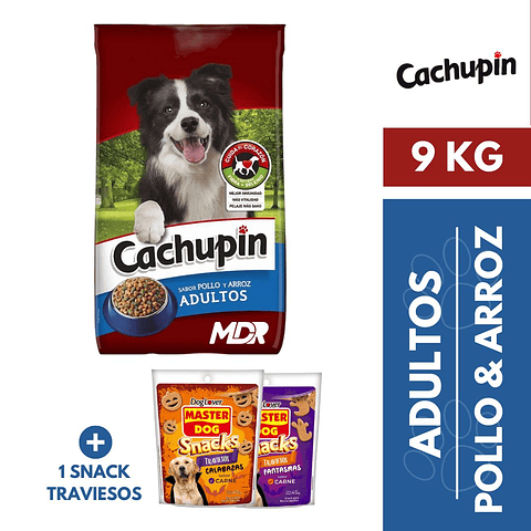 CACHUPIN ADULTO POLLO Y ARROZ 9KG