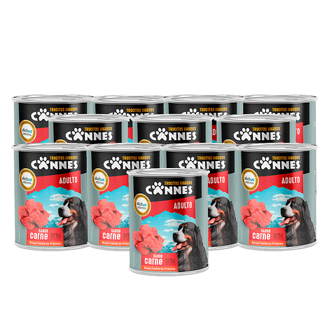CANNES LATA TROCITOS JUGOSOS CARNE 375GR x12 UND