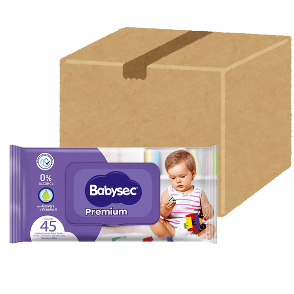 Toalla Húmeda Babysec 45 (X20) 1