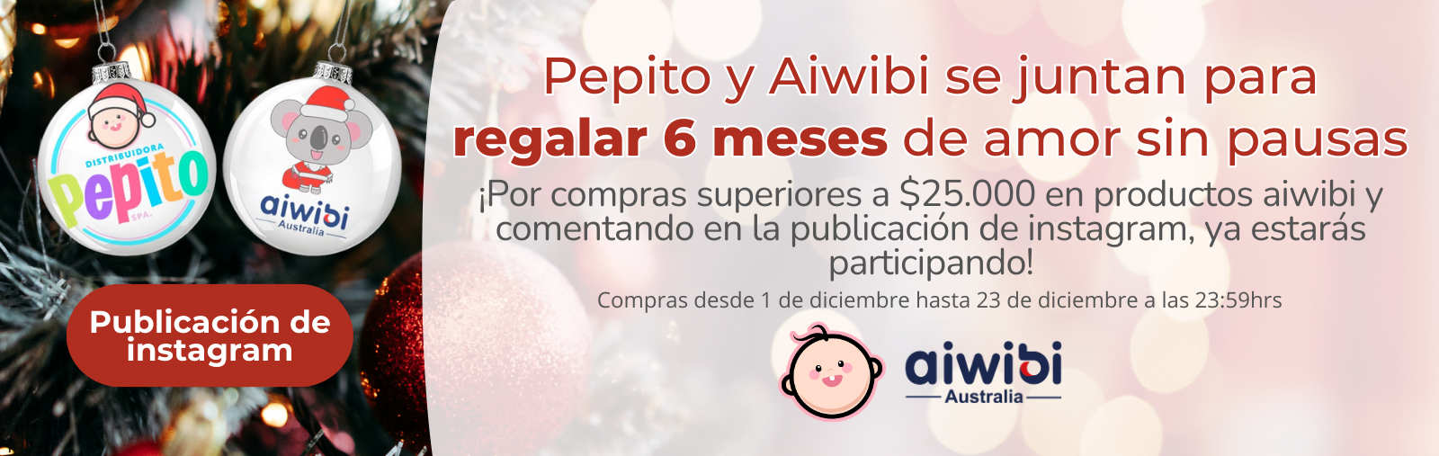 Bases de sorteo de 6 meses de pañales Pepito y Aiwibi
