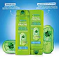 Shampoo Garnier Fructis Frescura Vitaminada - 350 ml - Miniatura 4