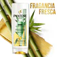 Acondicionador Pantene Bambú Nutre & Crece - 400 ml - Miniatura 5