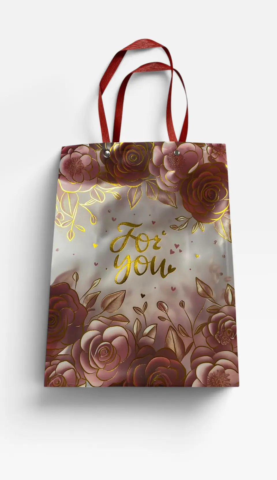 BOLASA REGALO TERANSPARENTE GRANDE 1
