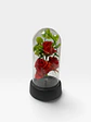 FLORES ESTUCHE - Miniatura 3