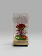 ROSA BASE MADERA EN ESTUCHE - Miniatura 3