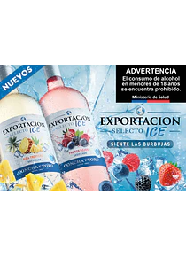 BOTELLON EXPORTACION (6 UNIDADES)