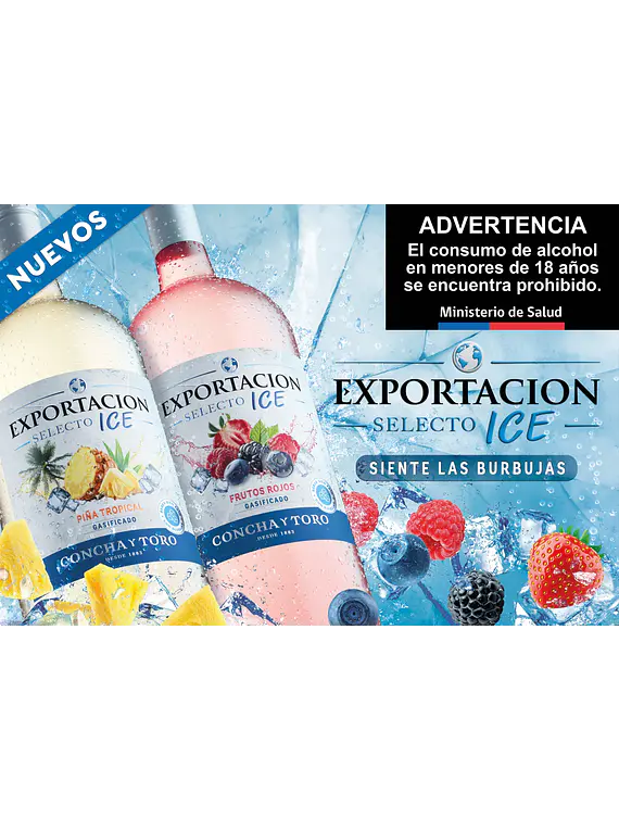 BOTELLON EXPORTACION (6 UNIDADES)