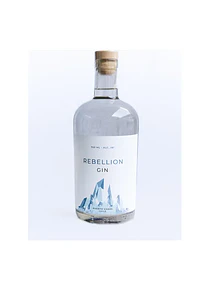 GIN REBELION 750CC (TRES O MAS UNIDADES)