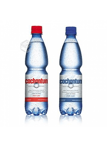 CACHANTUN C/G Y S/G 500 ML X DISPLAY (12 UNIDADES)