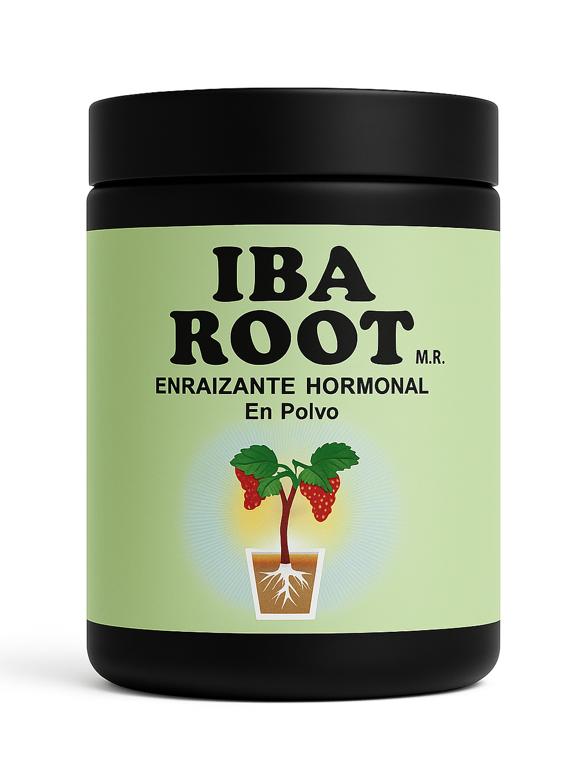 Iba Root® 75gr (2.000 ppm) x 12 Unidades 1