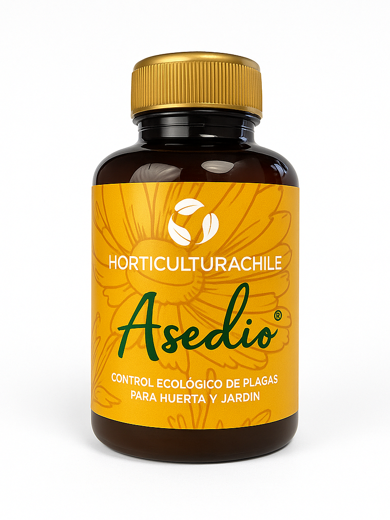 Asedio Concentrado 280cc 1