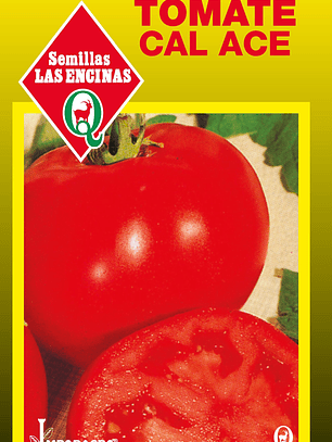 Tomate Cal Ace