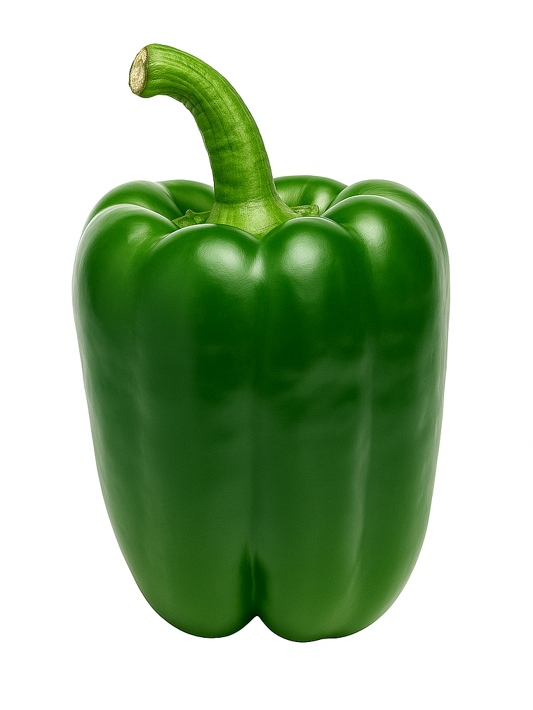 Pimentón California Wonder 1