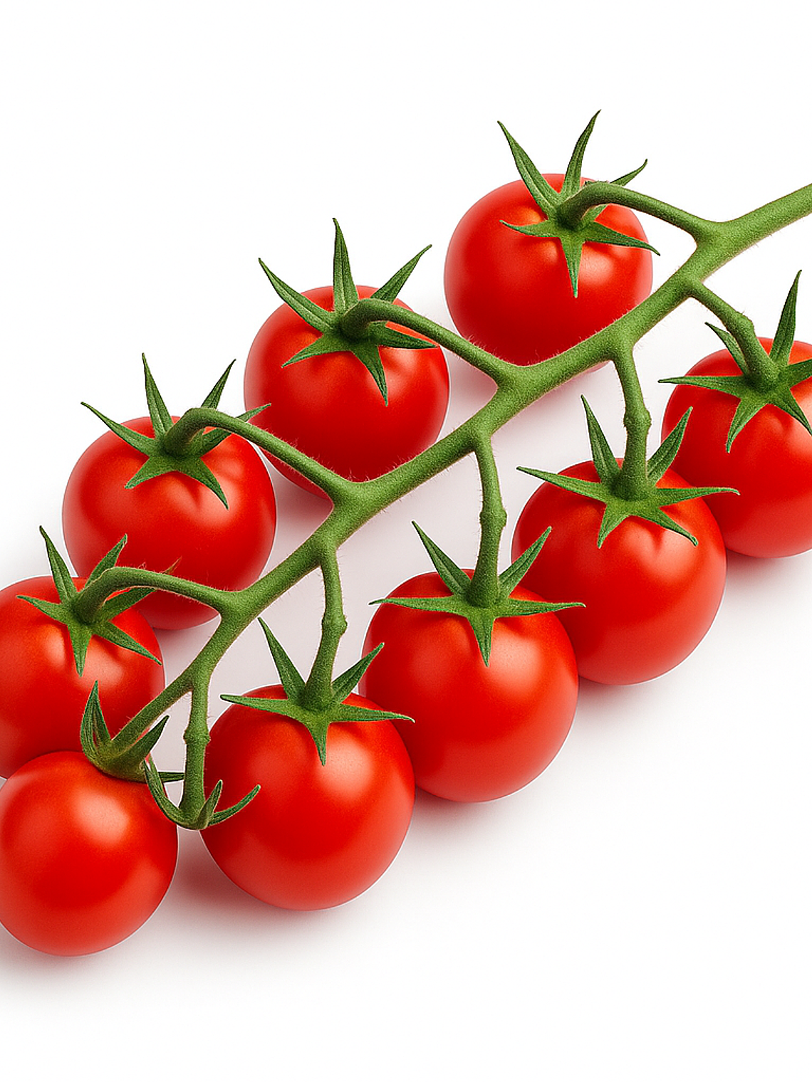 Tomate Cherry Rojo 1