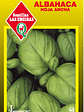 Albahaca Hoja Ancha - Miniatura 2