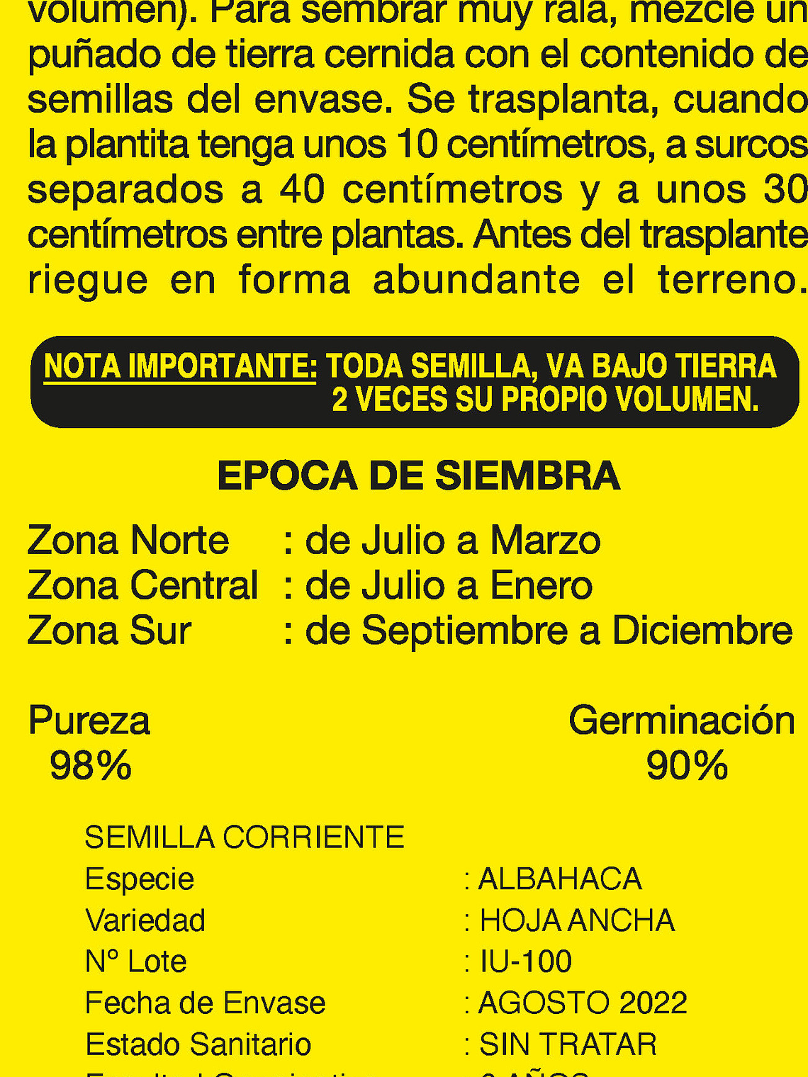 Albahaca Hoja Ancha 3