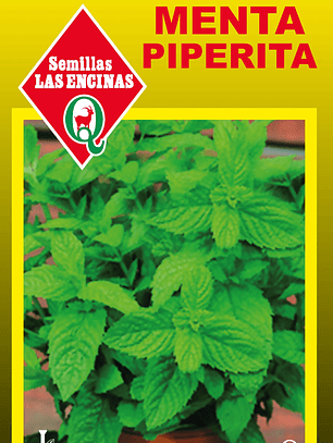 Menta Piperita
