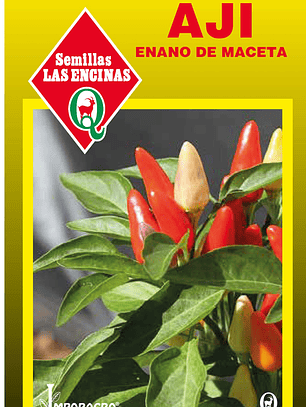 Aji Enano de Maceta