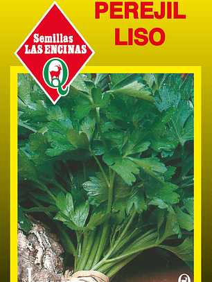 Perejil Liso