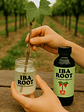 Iba Root® 1 Litro (10.000 ppm) - Miniatura 2