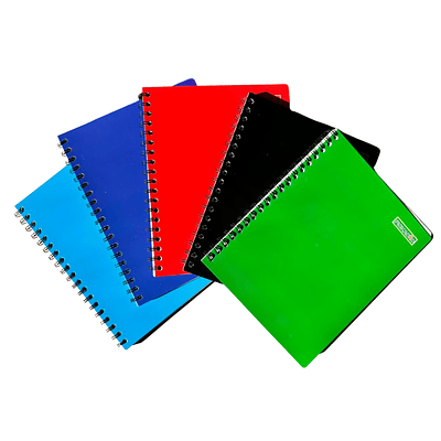 Cuaderno Universitario Matemático 100 Hojas