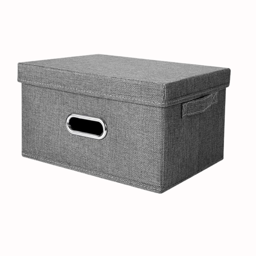 Caja Organizadora Con Tapa 40x20x17 cm