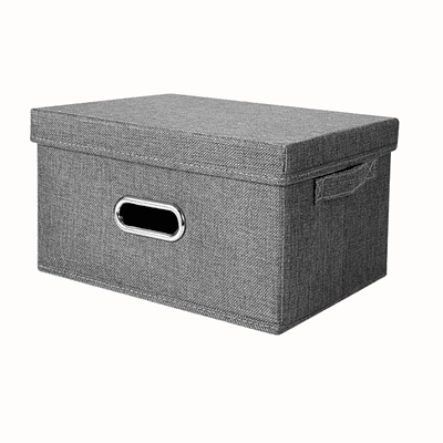 Caja Organizadora Con Tapa 40x20x17 cm