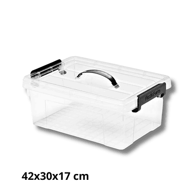 Caja Organizadora Plastica Con Tapa 12L 42x30x17 cm 