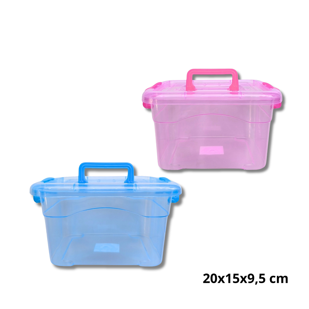 Caja Organizadora Con Tapa Plastica 20x15x9,5 cm 