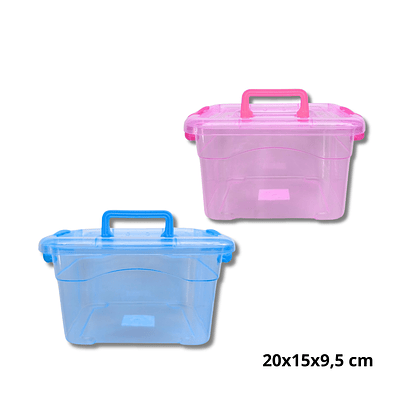 Caja Organizadora Con Tapa Plastica 20x15x9,5 cm 