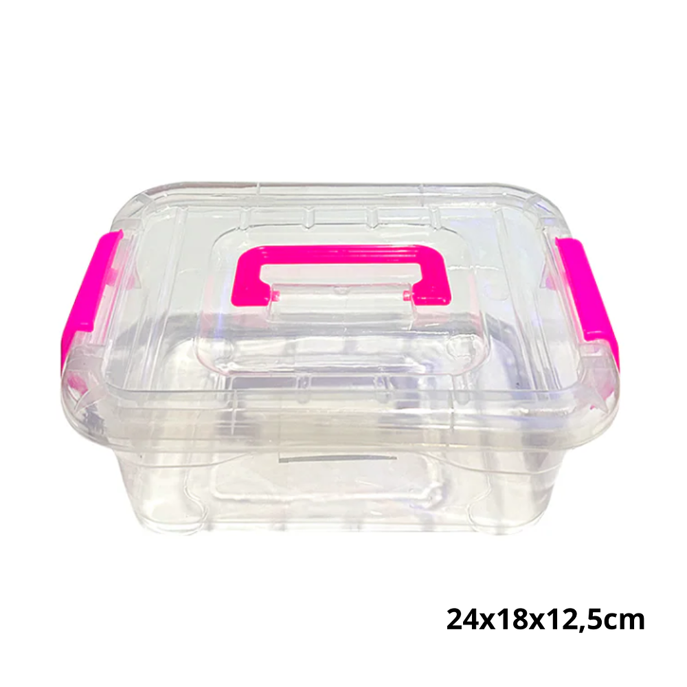 Caja Organizadora Con Tapa Plástica 24x18x12,5cm 