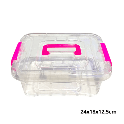 Caja Organizadora Con Tapa Plástica 24x18x12,5cm 