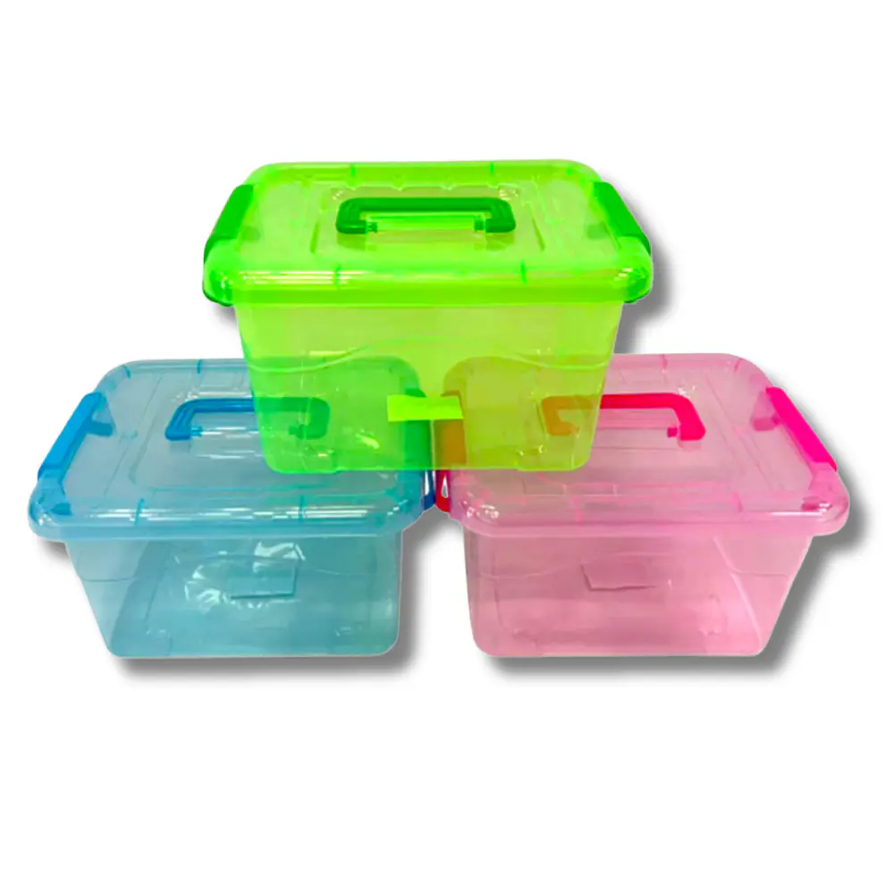 Caja Plástica con Tapa y Mango 24 x 18 x 12,5 cm