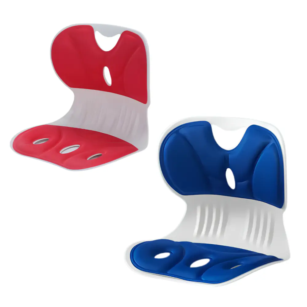 Asiento Cojín con Respaldo Lumbar 
