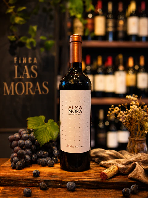 Alma Mora Malbec
