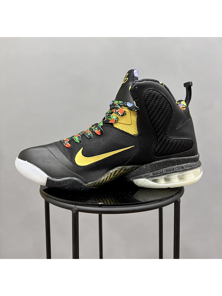 Nike Lebron 9 King 3