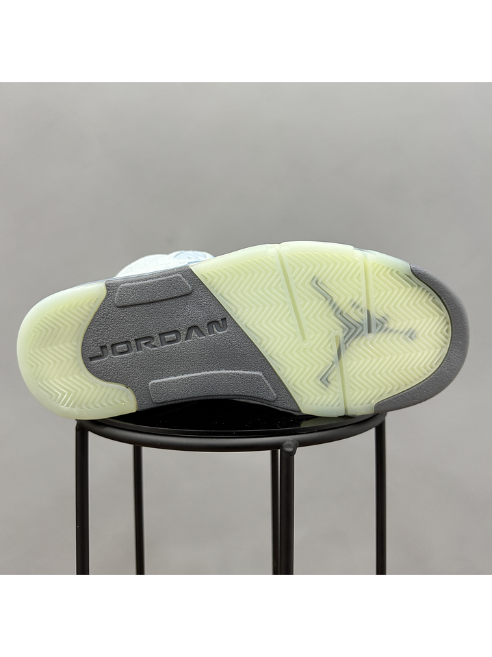 Jordan Retro 5 Bird 2