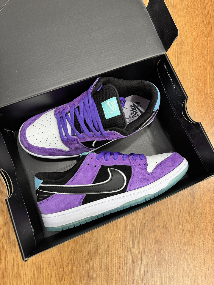 Nike Sb Dunk Court Purple  4