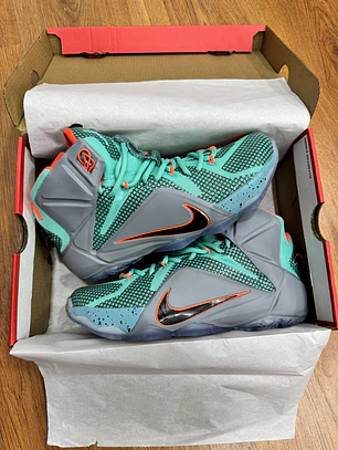 Nike Lebron 12 NSRL 