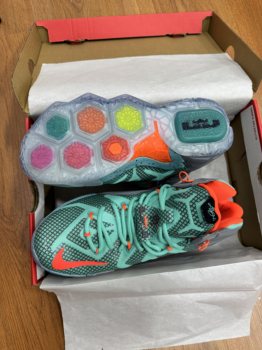 Nike Lebron 12 NSRL  3