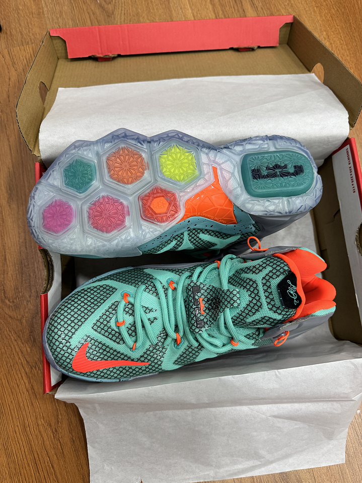 Nike Lebron 12 NSRL  3