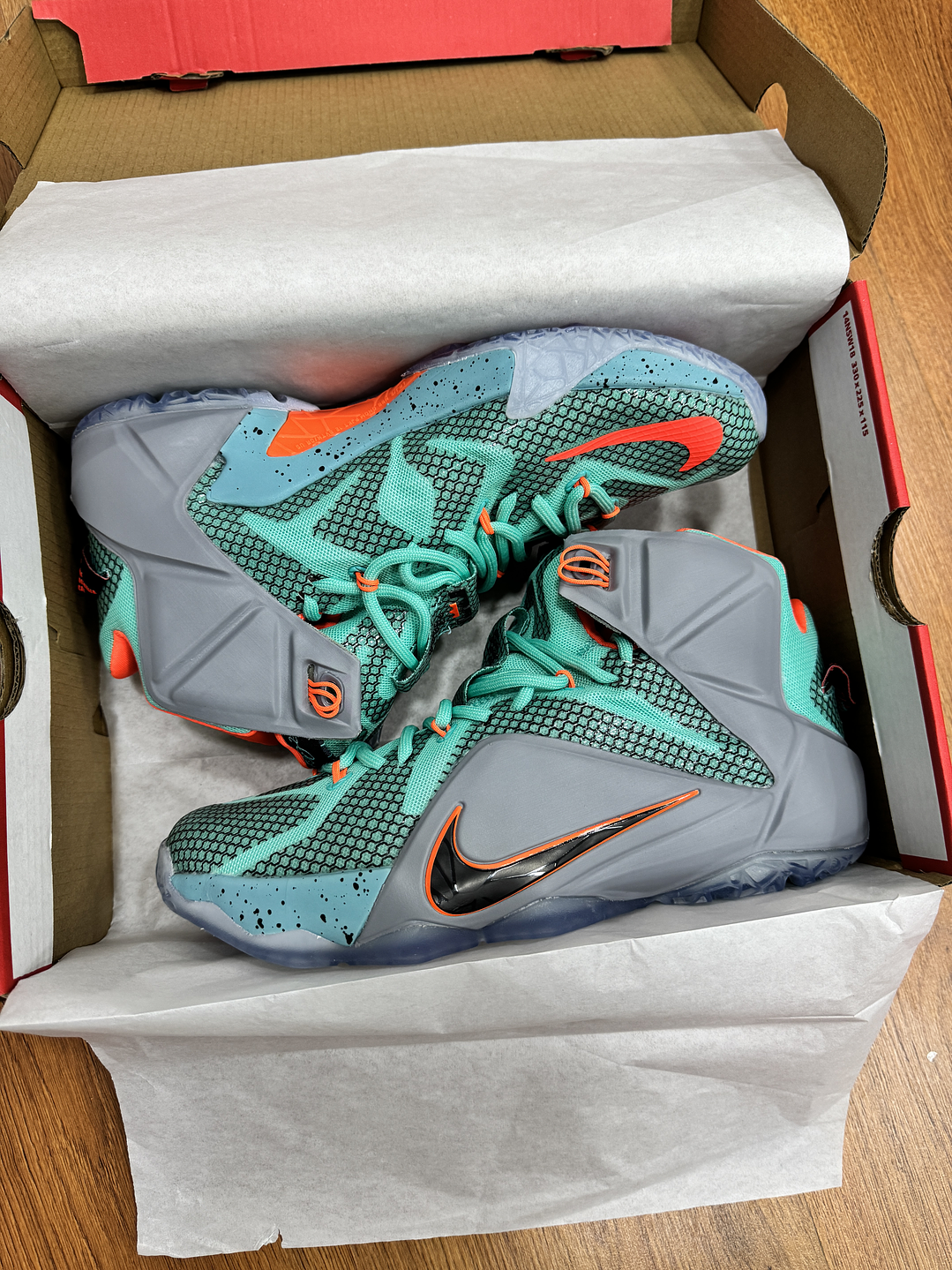 Nike Lebron 12 NSRL  2