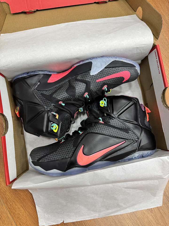 Nike Lebron 12 Black 2