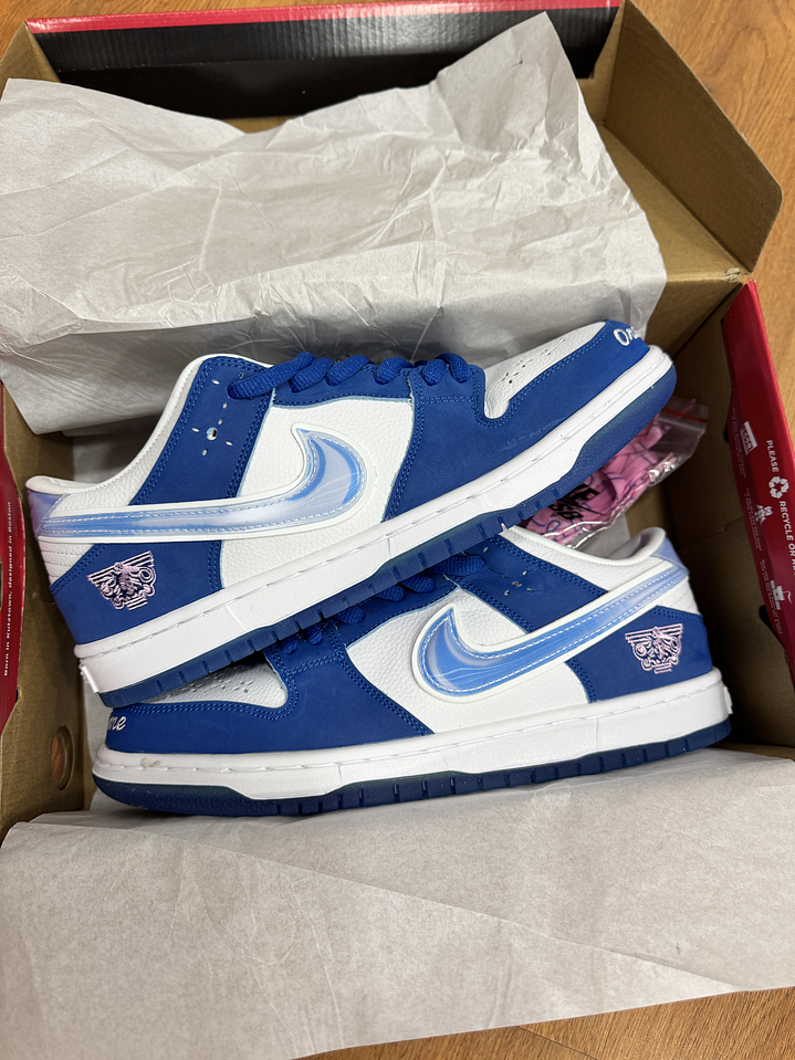 Nike Sb Dunk Born  2