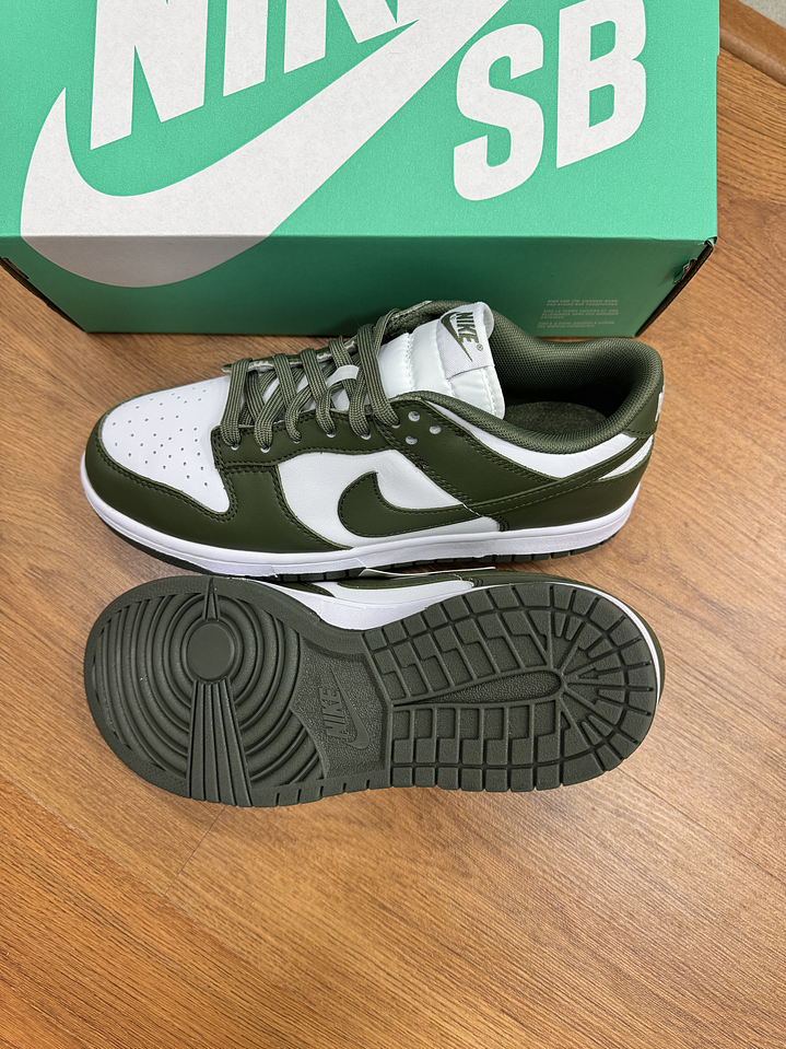 Nike Sb Dunk Dark Green  3