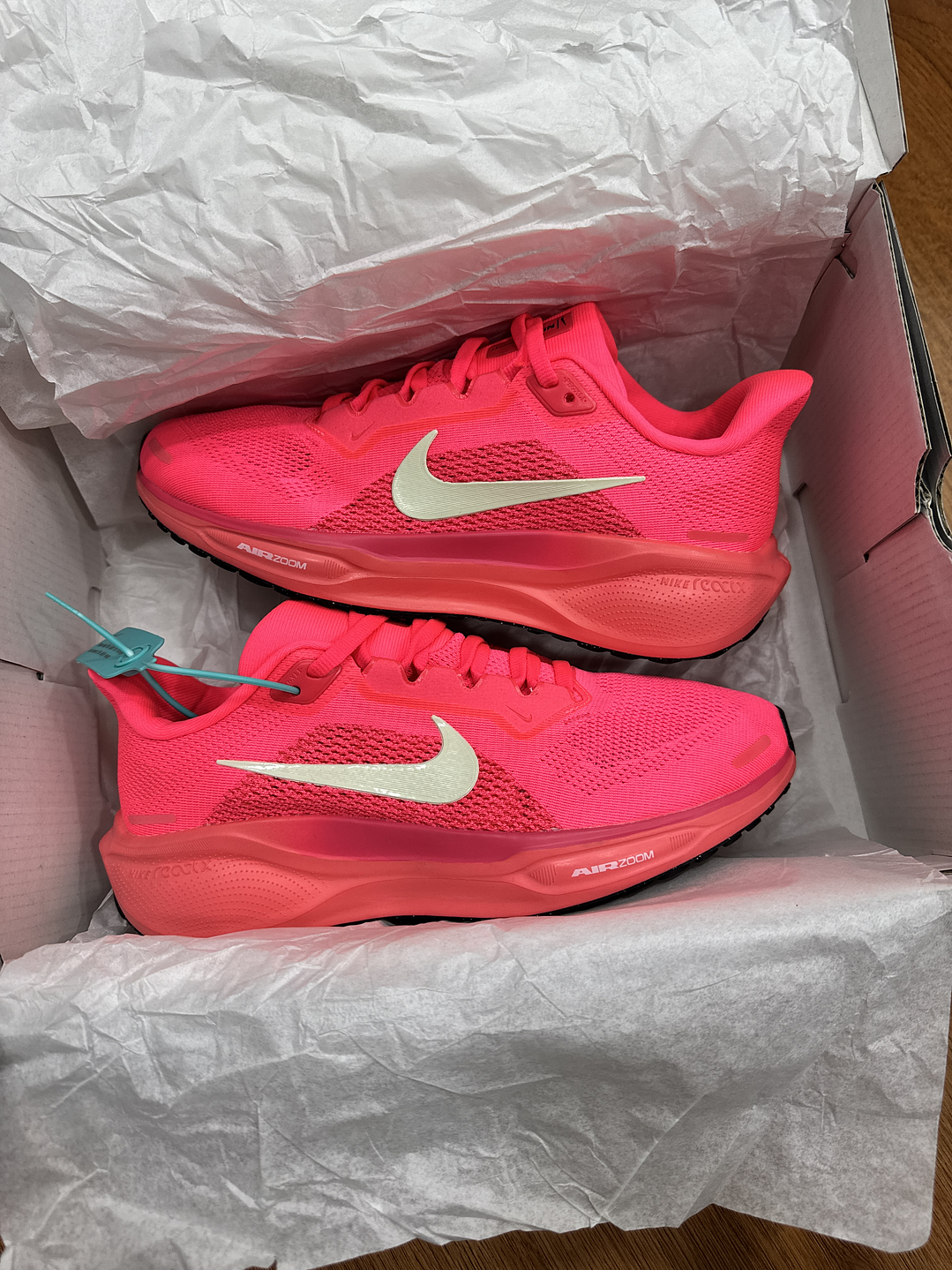 Nike Pegasus 41 Women  2