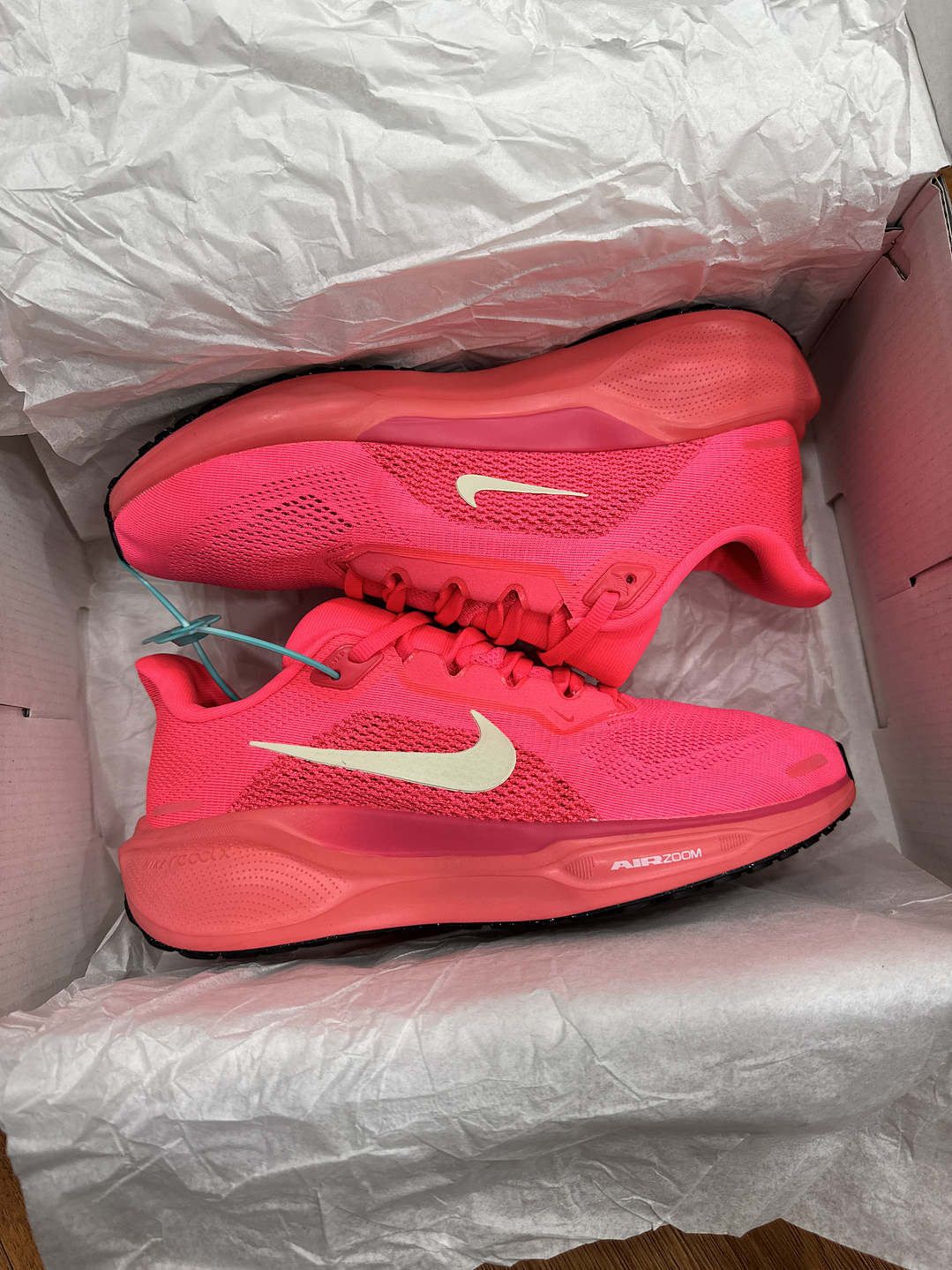Nike Pegasus 41 Women  1