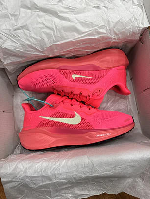 Nike Pegasus 41 Women 
