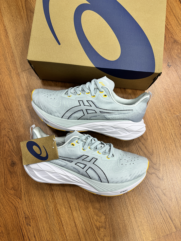 Asics Novablast 4 Gris  1